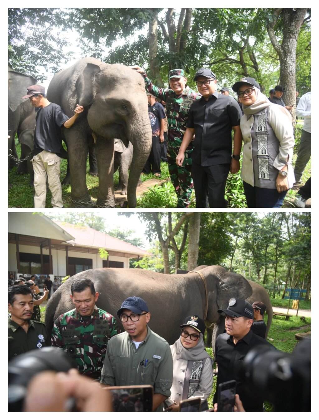 CvW8ziLyrK7Yb2ZUJUMZ6eGlQ8jqPMA50k2QVsWa