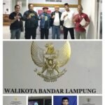 IMG_20260211_164417-768x1013