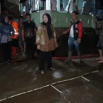 1000156298-1536x1024