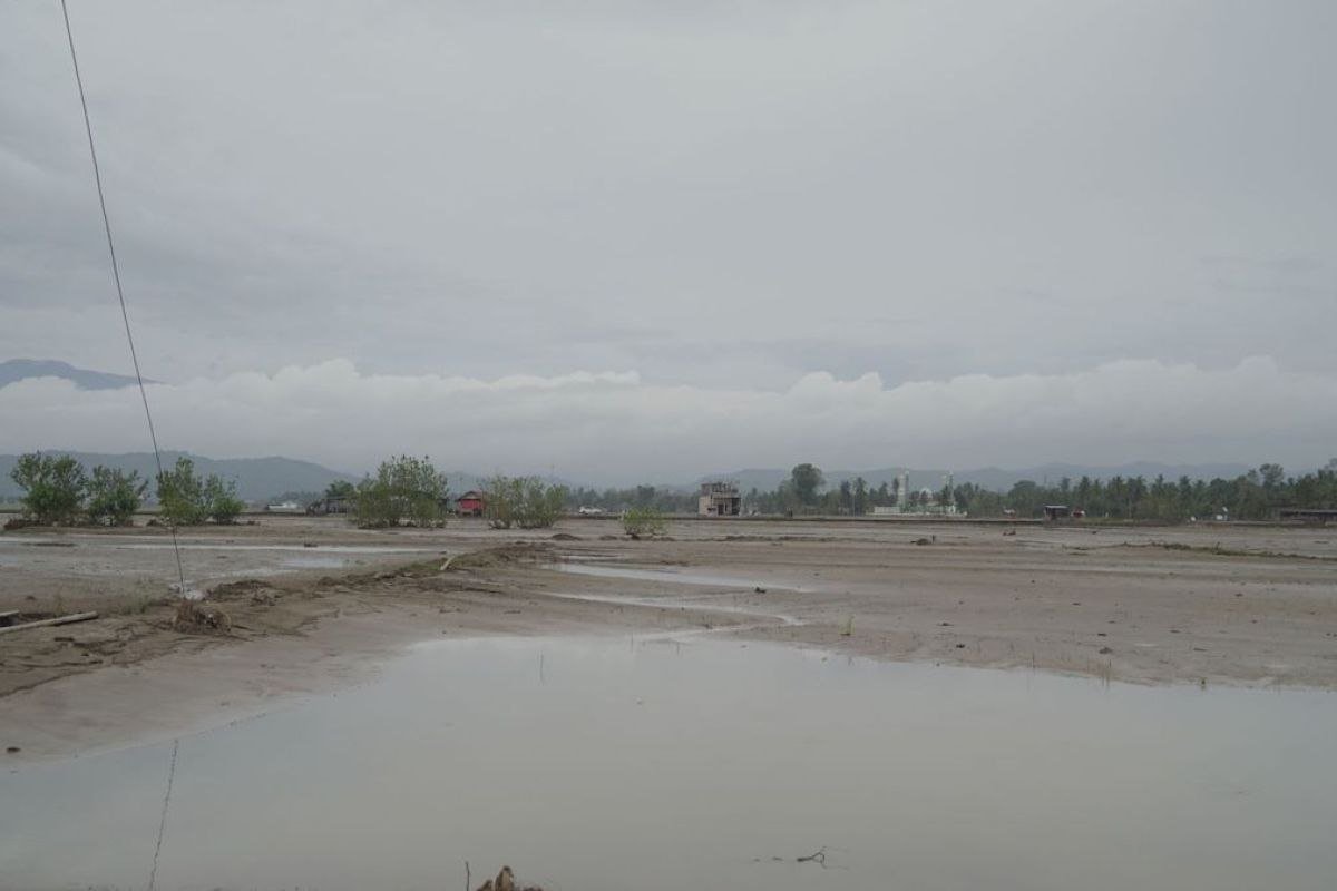 temp_8516351512.jpg