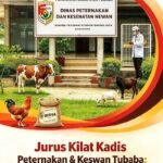 IMG-20261020-WA0096